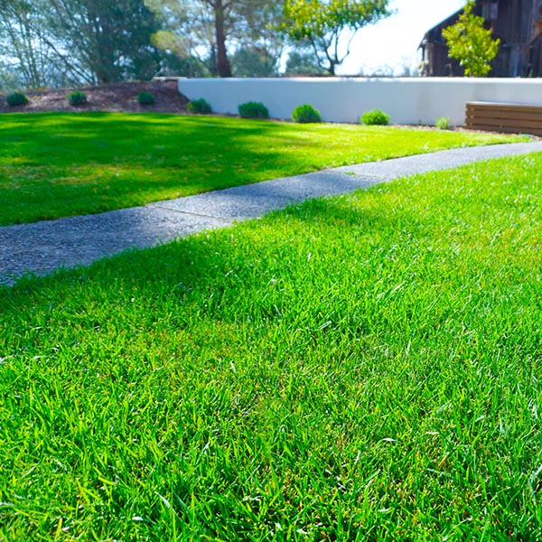 landscape-maintenance-45